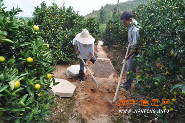 南丰高标准打造乡村“桔园游”旅游示范点
