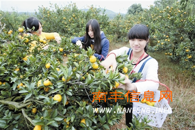 首趟“蜜桔动车专列”驶入南丰