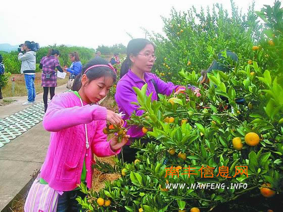 南丰莆田年底前有望开通两地旅游专列