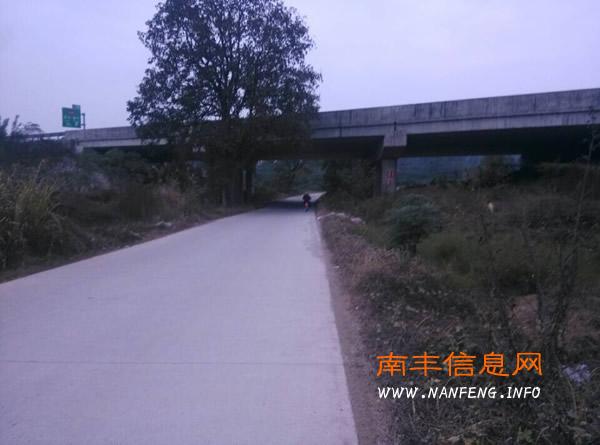 南丰蜜桔收获季 杜绝腐烂蜜桔乱丢乱倒
