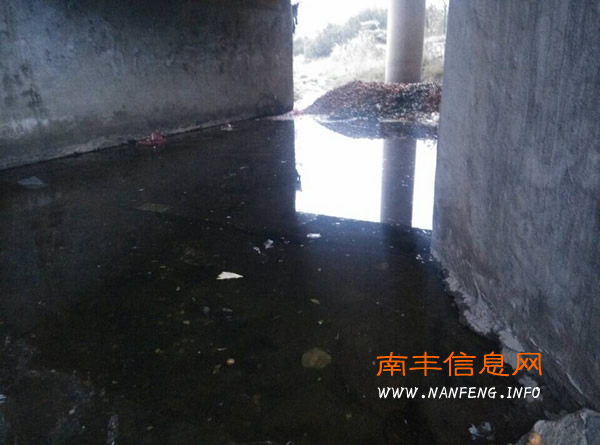 南丰蜜桔收获季 杜绝腐烂蜜桔乱丢乱倒