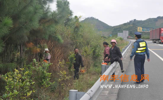 南丰村民卖桔如此任性 竟上高速叫卖