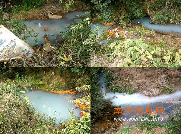 南丰莱溪一条小溪遭遇“未知污水”变成浑浊的“牛奶”色