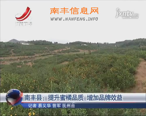 [视频]南丰县：提升蜜橘品质 增加品牌效益