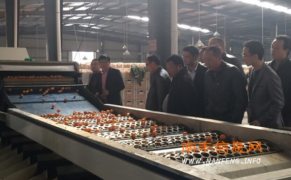 抚州市农产品经纪人协会组织协会会员赴南丰参观学习