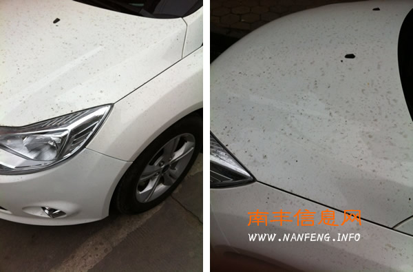 百姓话题:关于南丰的洒水车,你怎么看?