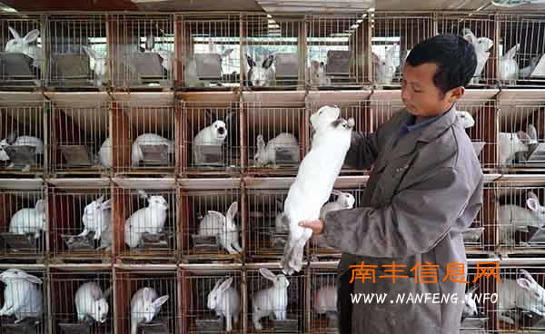 南丰大力发展特色养殖