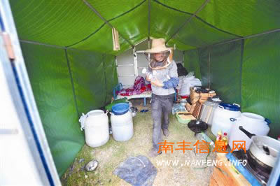 南丰县蜜桔花进入盛开期 养蜂人忙采蜜