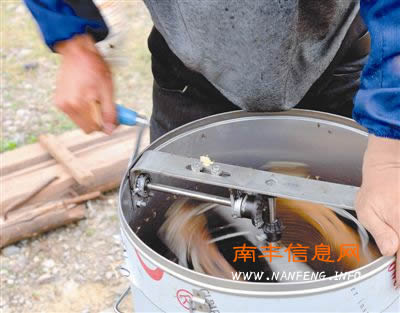 南丰县蜜桔花进入盛开期 养蜂人忙采蜜