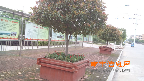 南丰县琴湖公园：时令花坛扮靓公园