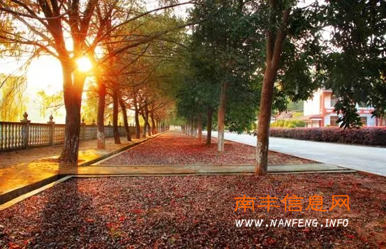 仙人湖——说不完、道不尽的美