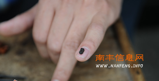 刀尖上的绝技——访南丰微雕艺人邓伟