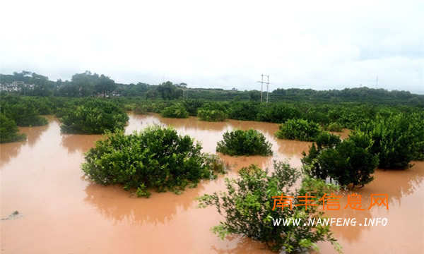 南丰遭受暴雨袭击 气象台发布今年首个暴雨红色预警信号
