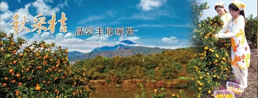 我叫南丰,这是我的使用指南!