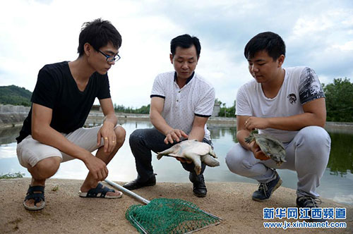 南丰“土秀才”带领乡亲齐致富