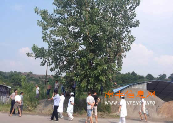 南丰一骑摩托车男子遭雷击身亡