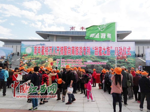 南丰蜜橘万人采摘活动开幕 江西康辉国旅组织千名游客现场采桔