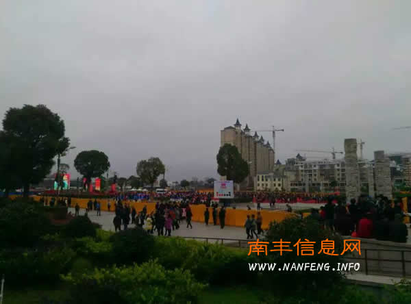 第十二届江西南丰蜜桔文化旅游节开幕 南丰蜜橘品牌价值40.93亿元