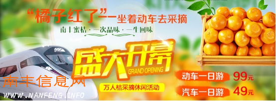 江西康辉“南丰蜜桔采摘游”产品热销洪城