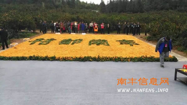 直击第十二届江西南丰蜜桔文化旅游节之CCTV7-乡村大世界走进南丰现场