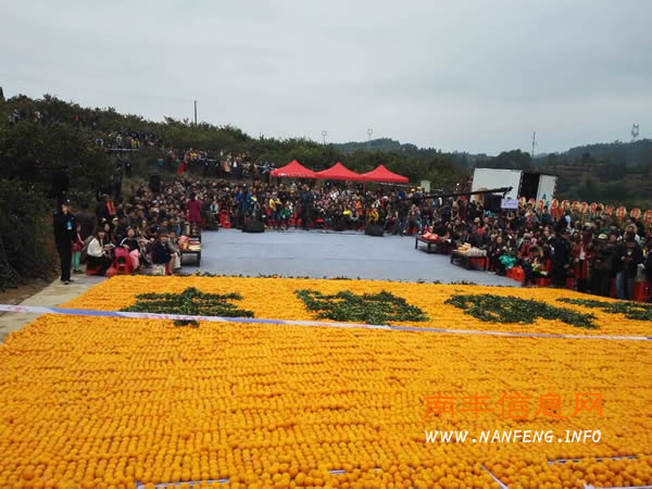 直击第十二届江西南丰蜜桔文化旅游节之CCTV7-乡村大世界走进南丰现场