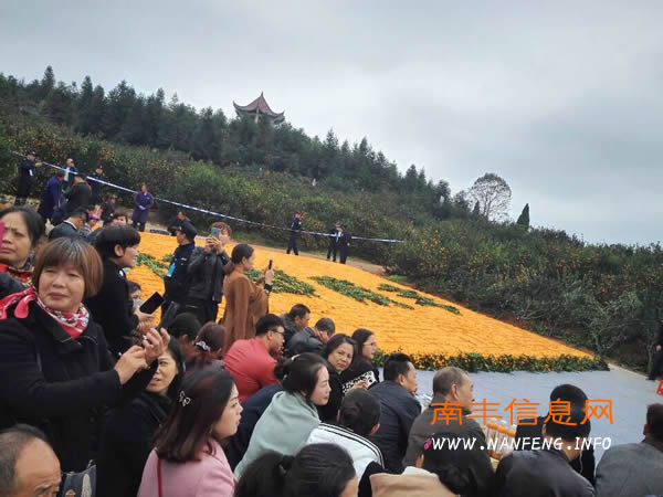 直击第十二届江西南丰蜜桔文化旅游节之CCTV7-乡村大世界走进南丰现场