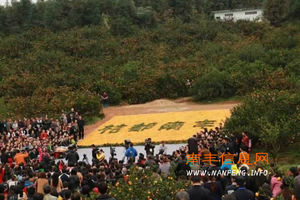 直击第十二届江西南丰蜜桔文化旅游节之CCTV7-乡村大世界走进南丰现场