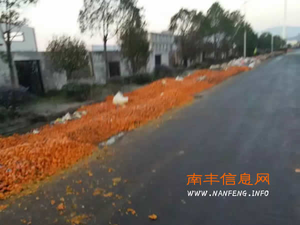 马路边任意倾倒腐烂蜜桔垃圾,这道难题谁能解?