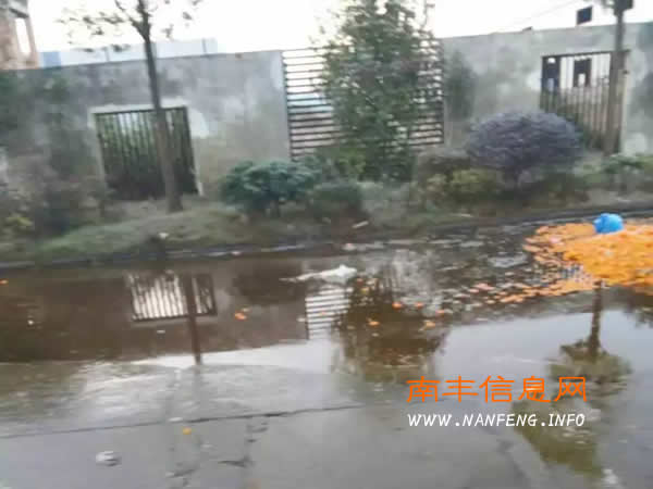 马路边任意倾倒腐烂蜜桔垃圾,这道难题谁能解?