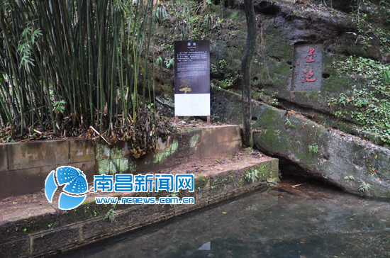 南丰打造“橘园游” 尝橘看景美不胜收