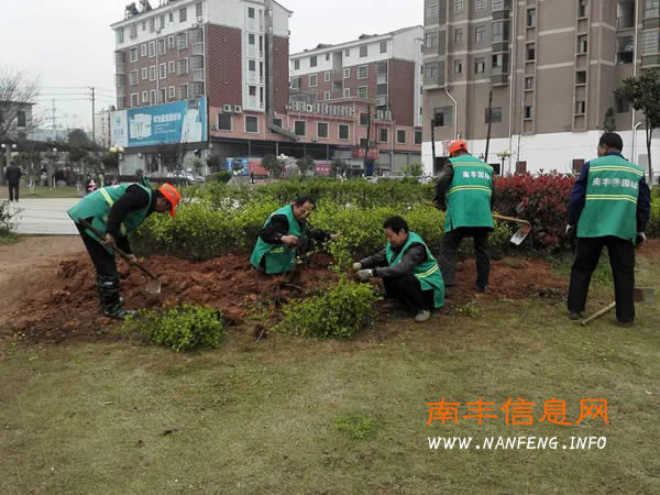 抢抓时机 补植补栽工作忙