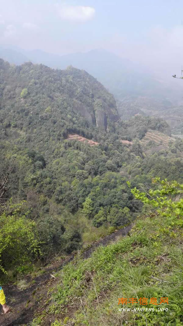 南丰县园林局园林绿化及生态风景普查之旅