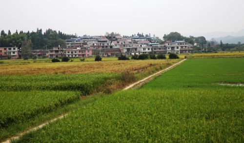 南丰:绿色崛起著华章 三宜南丰谱新篇