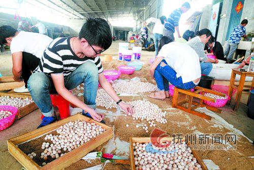 南丰县大力发展龟鳖特色养殖